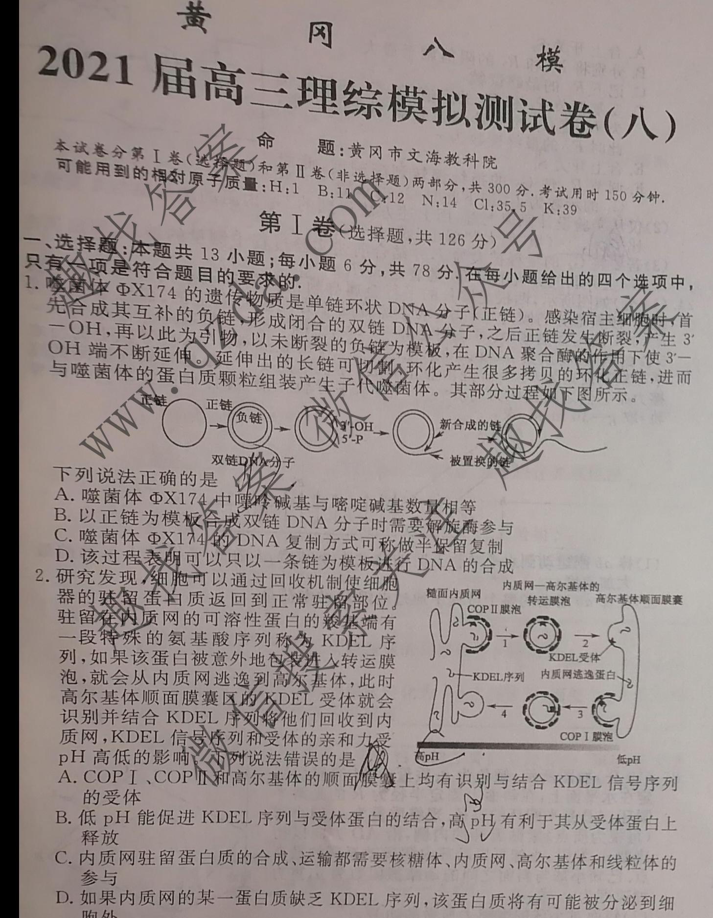 黄冈八模2021届高三模拟测试卷八8j理科综合试题