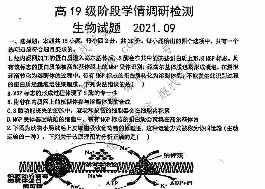 2021-2022学年临沂市高19级阶段学情调研(2021.9)生物试题