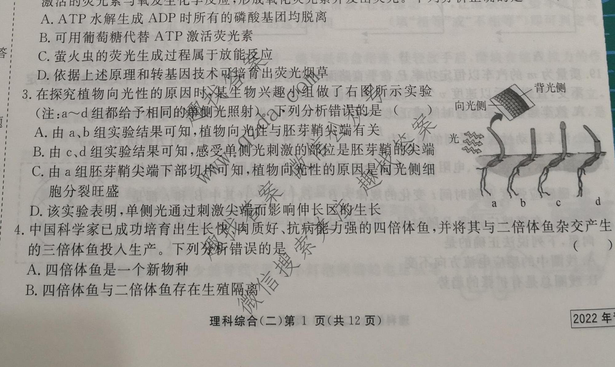 2022年青桐鸣冲刺卷二2理科综合试题