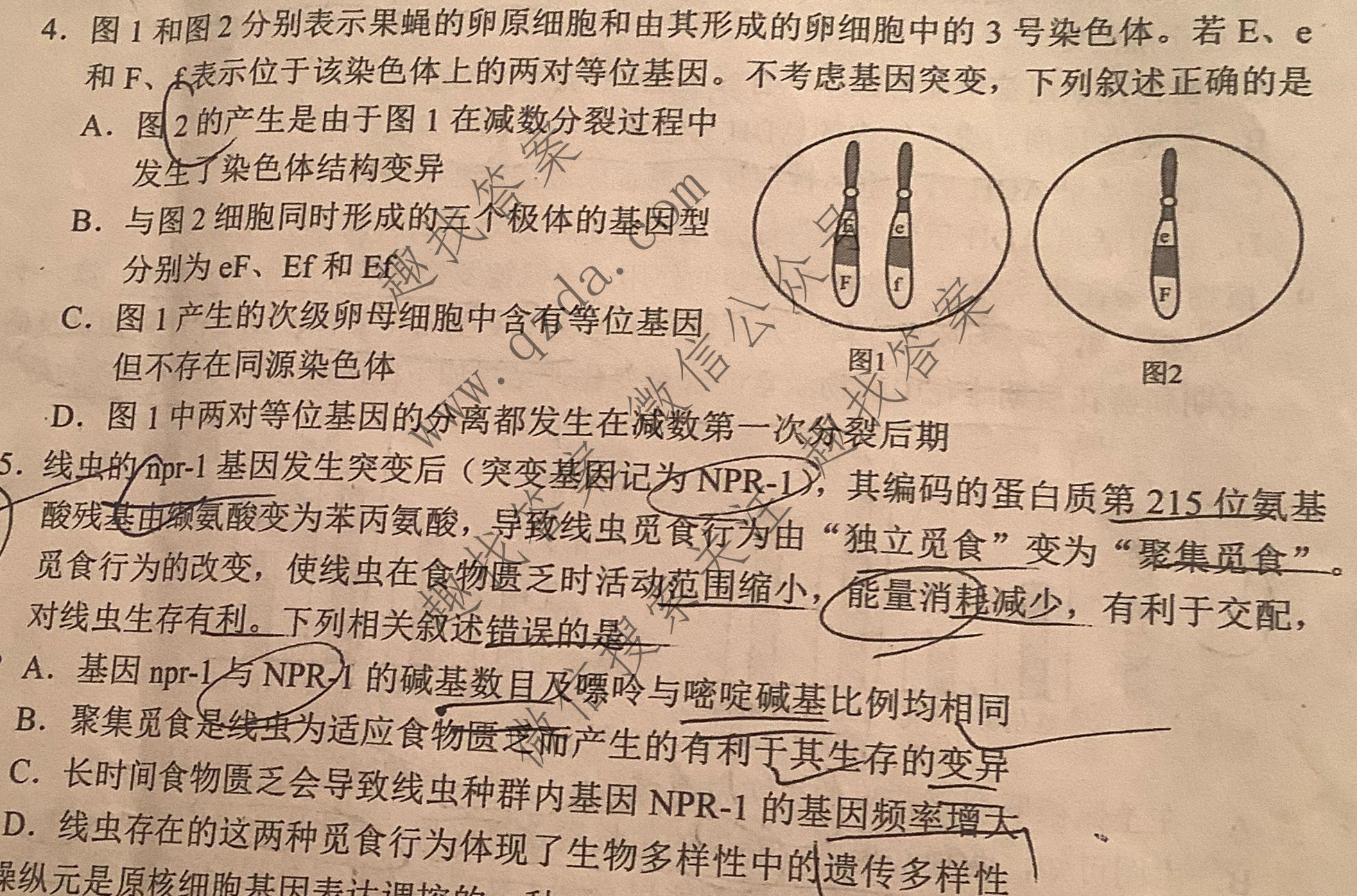 [日照一模]日照市2019级高三模拟考试(2022.03)生物试题