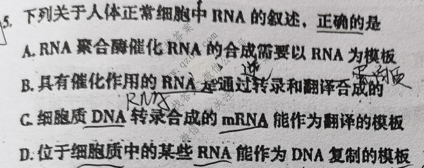 乌鲁木齐2022年高三年级第二次质量监测(问卷)理科综合试题
