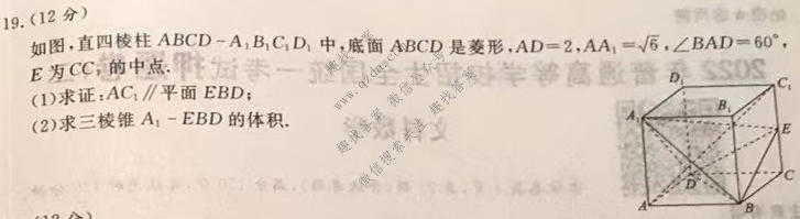 2022年青桐鸣押题卷(二)2文科数学试题