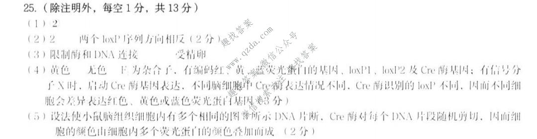 [菏泽二模]2022年菏泽市高三二模考试(2022.5)生物答案