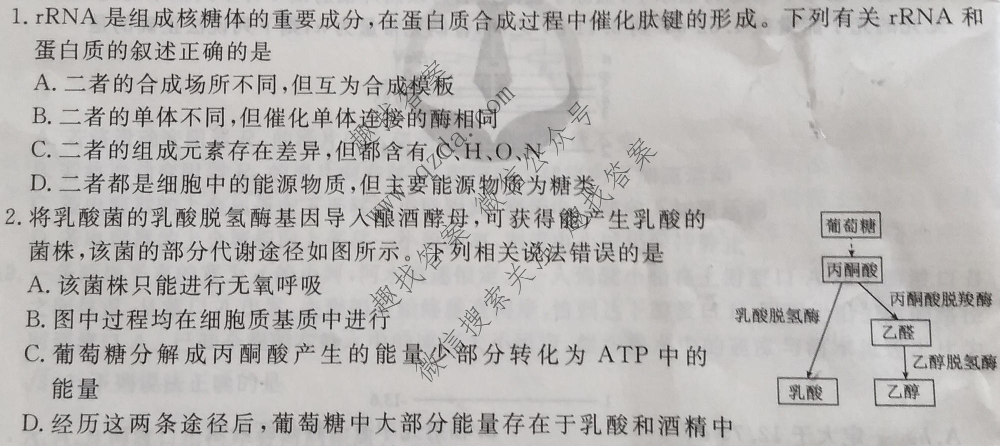 衡水金卷先享题 2022-2023学年度高三一轮复习摸底测试卷 摸底卷A(老高考) 理综(二)2试题