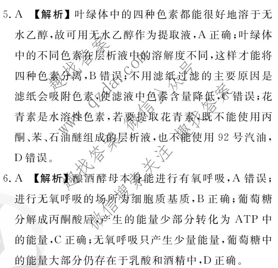 衡水金卷先享题 2022-2023学年度高三一轮复习摸底测试卷 摸底卷A(老高考) 生物(二)2答案