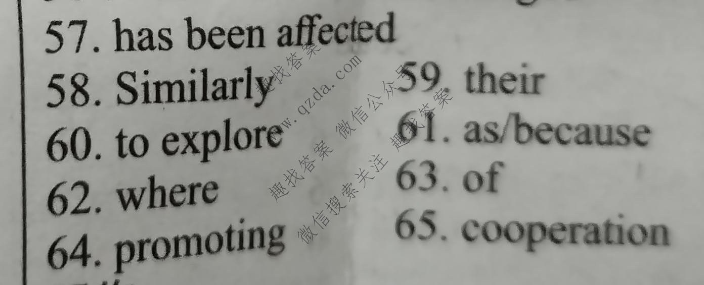 学英语 2024-2025学年新课程外研高二(选择性必修2)版第16期答案