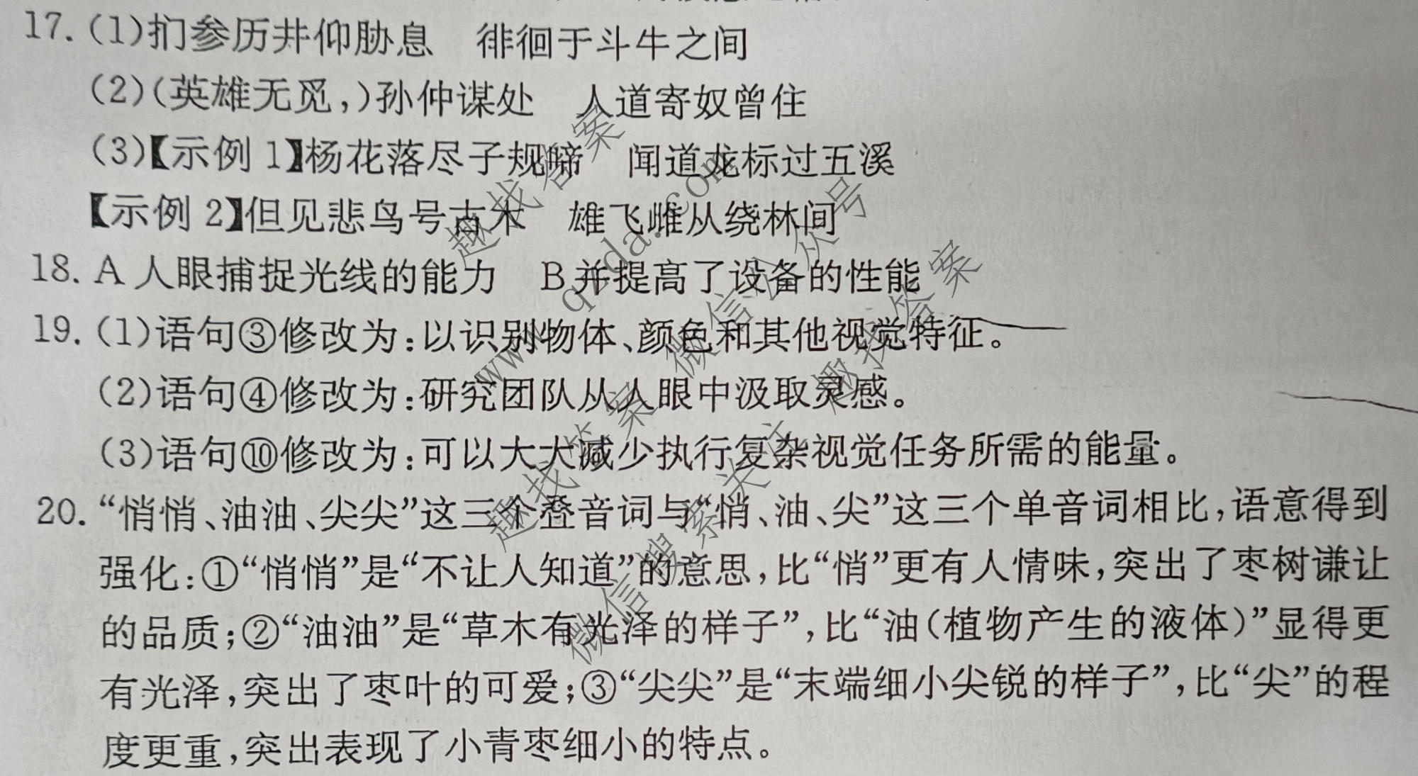 [阳光启学]2025届全国统一考试标准模拟信息卷(一)1语文XX答案