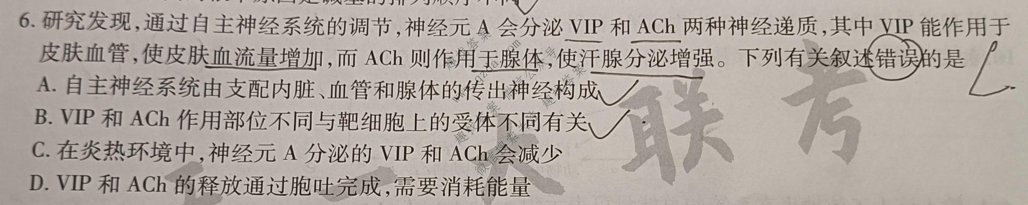 天一大联考 2025届高考全真冲刺卷(一)1生物(安徽专版)试题
