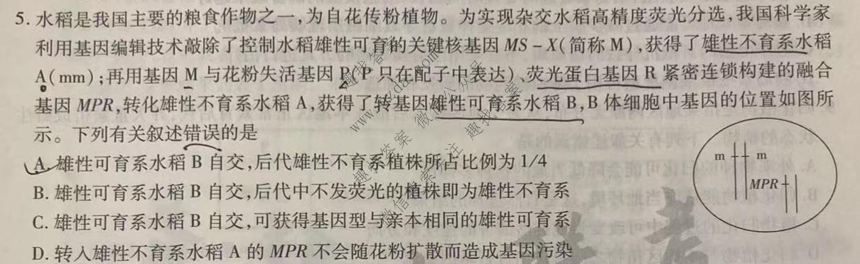 天一大联考 2025届高考全真冲刺卷(一)1生物(陕西专版)试题