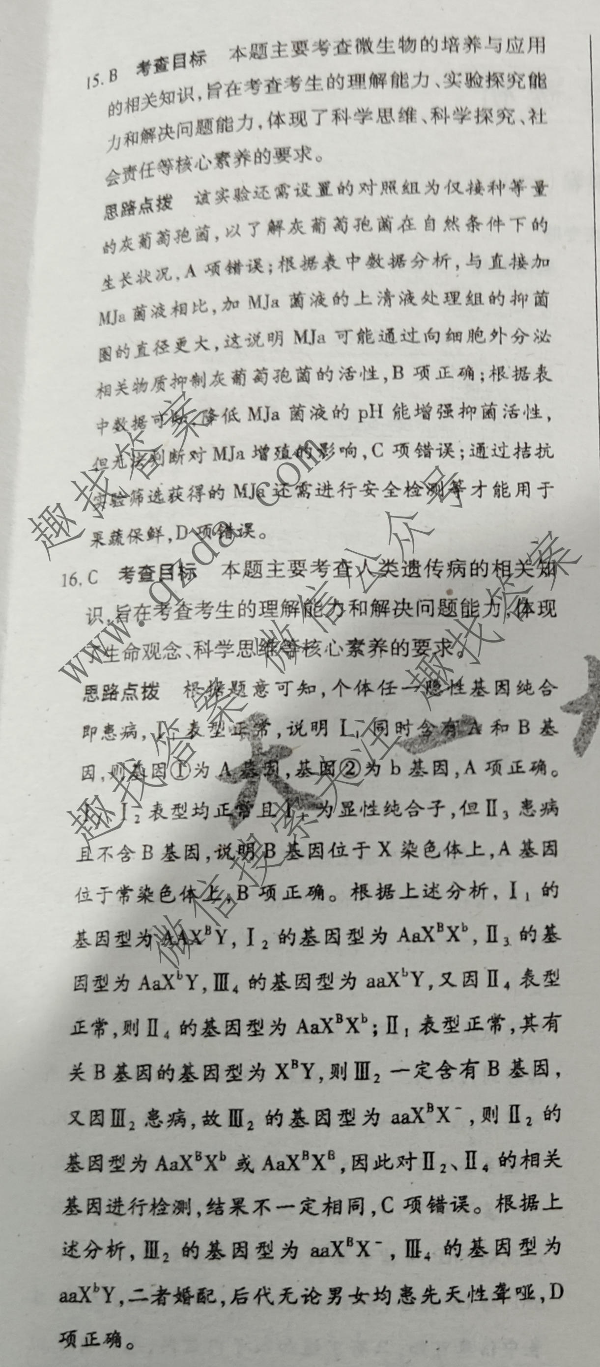 天一大联考 2025届高考全真冲刺卷(一)1生物(河南专版)答案