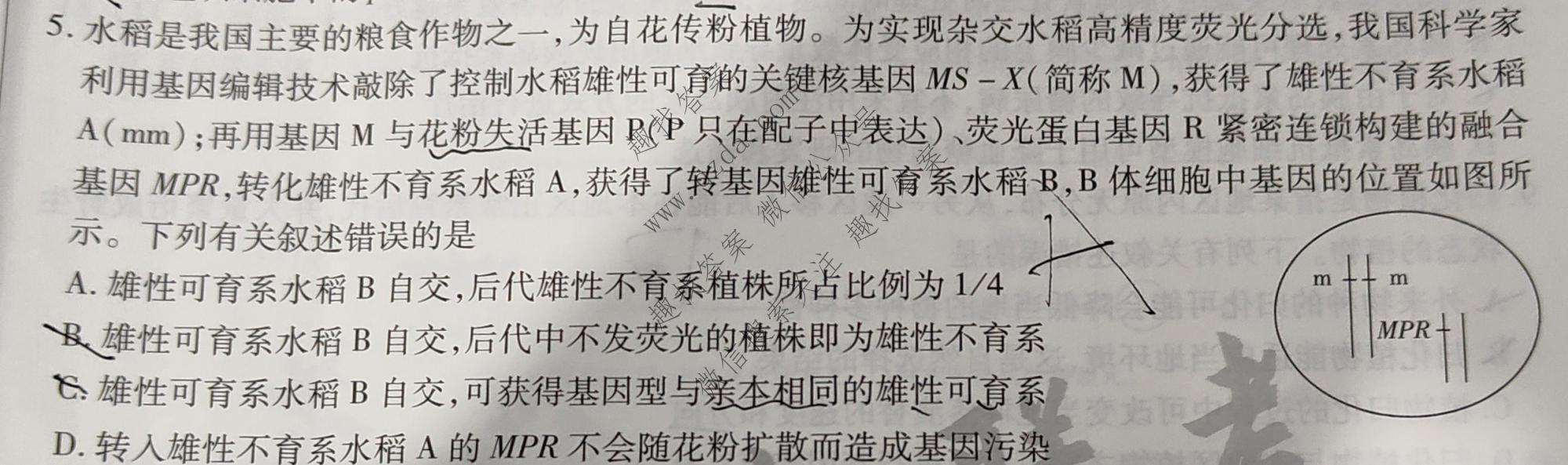 天一大联考 2025届高考全真冲刺卷(一)1生物(河南专版)试题