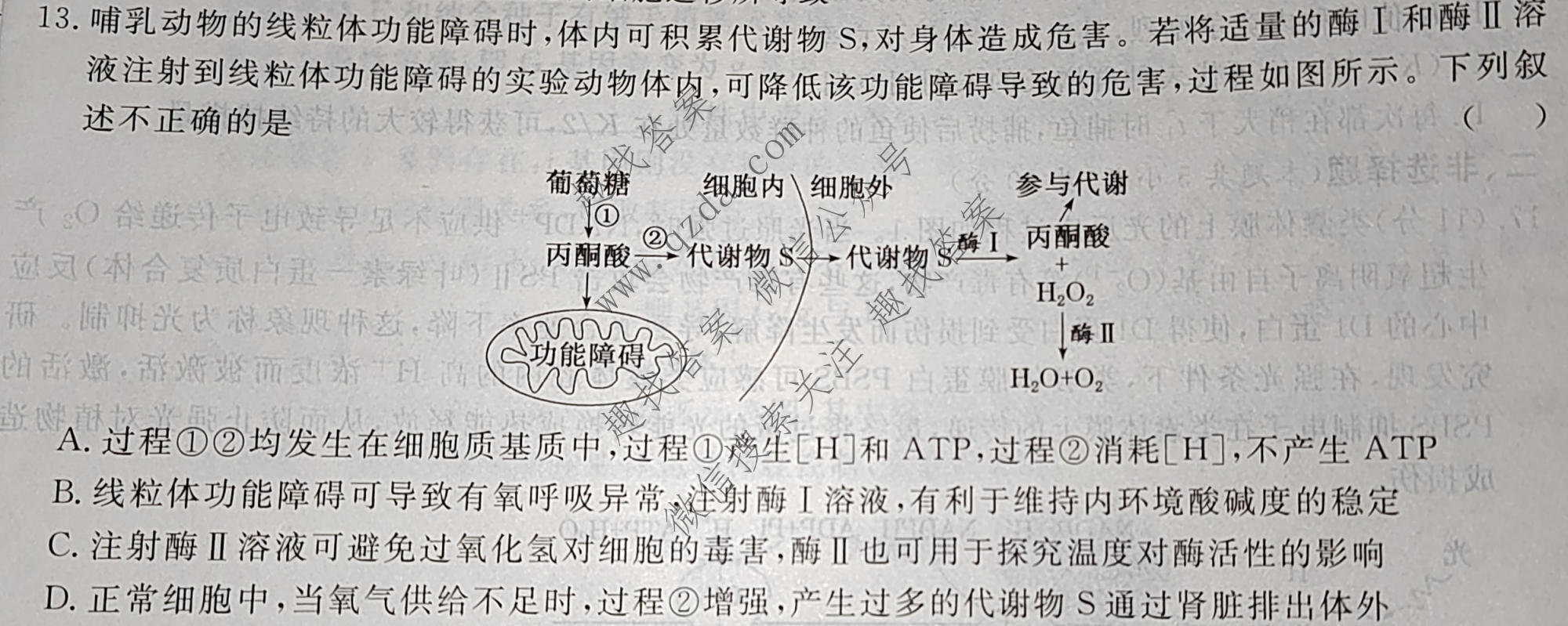 名校之约系列 2025届高三新高考考前冲刺押题卷(三)3生物GFG试题