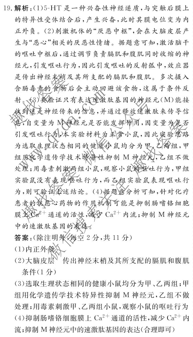 名校之约系列 2025届高三新高考考前冲刺押题卷(六)6生物GFG答案