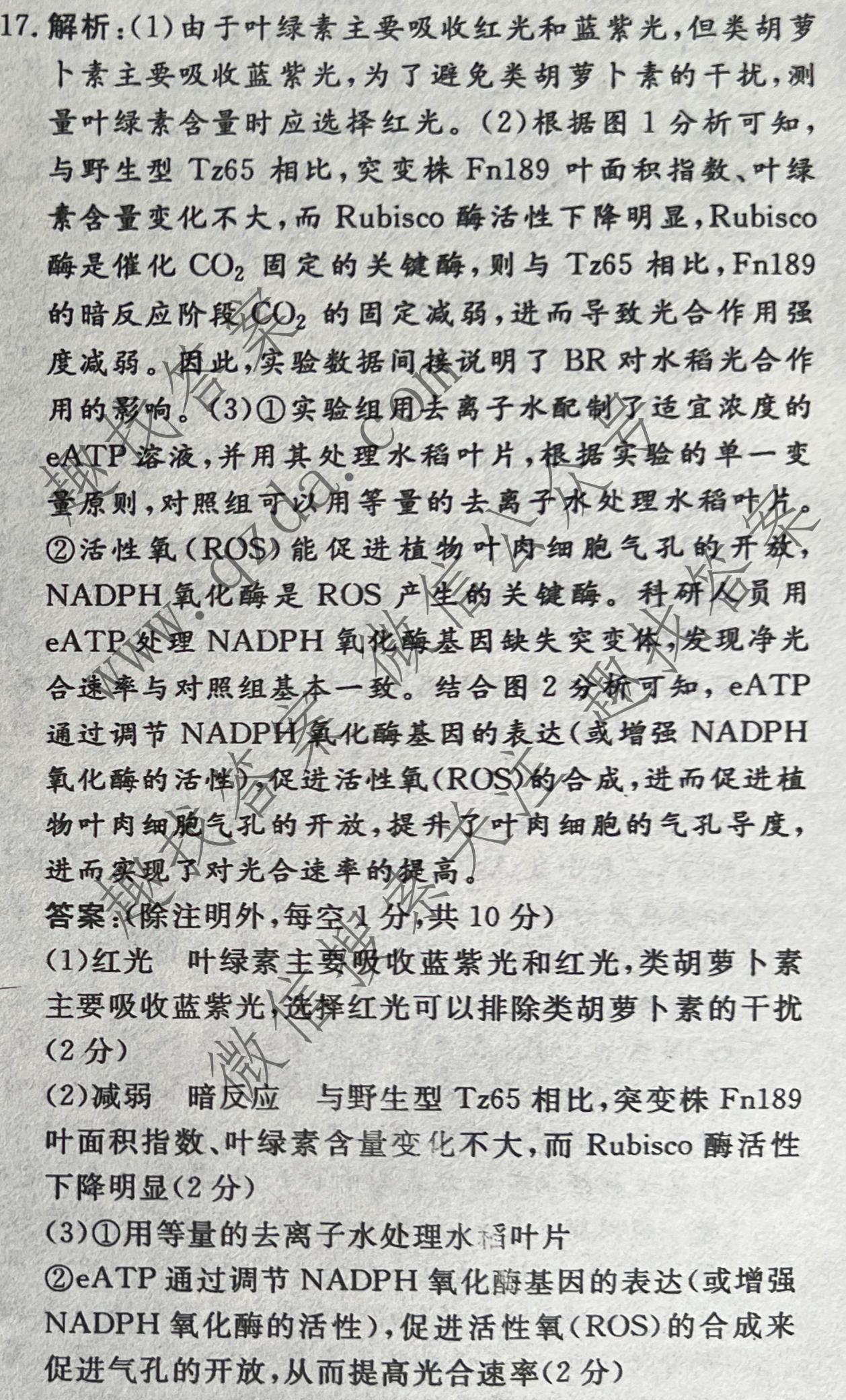 名校之约系列 2025届高三新高考考前冲刺押题卷(二)2生物答案