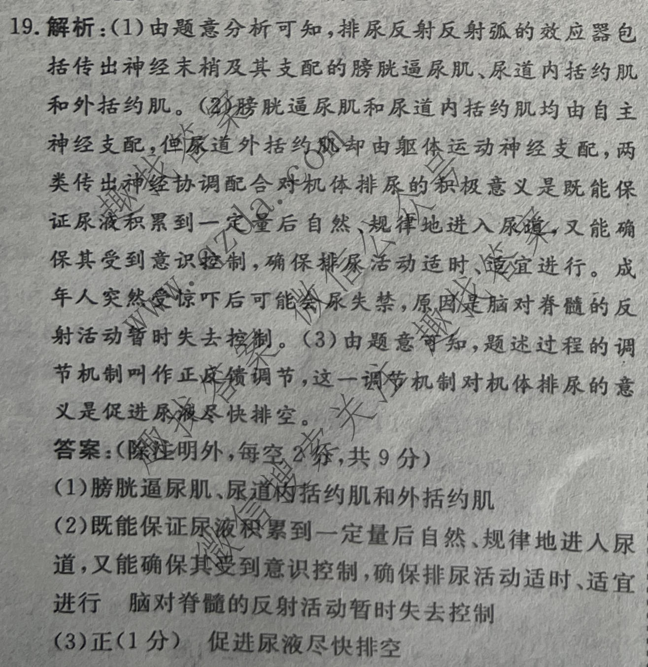 名校之约系列 2025届高三新高考考前冲刺押题卷(三)3生物答案