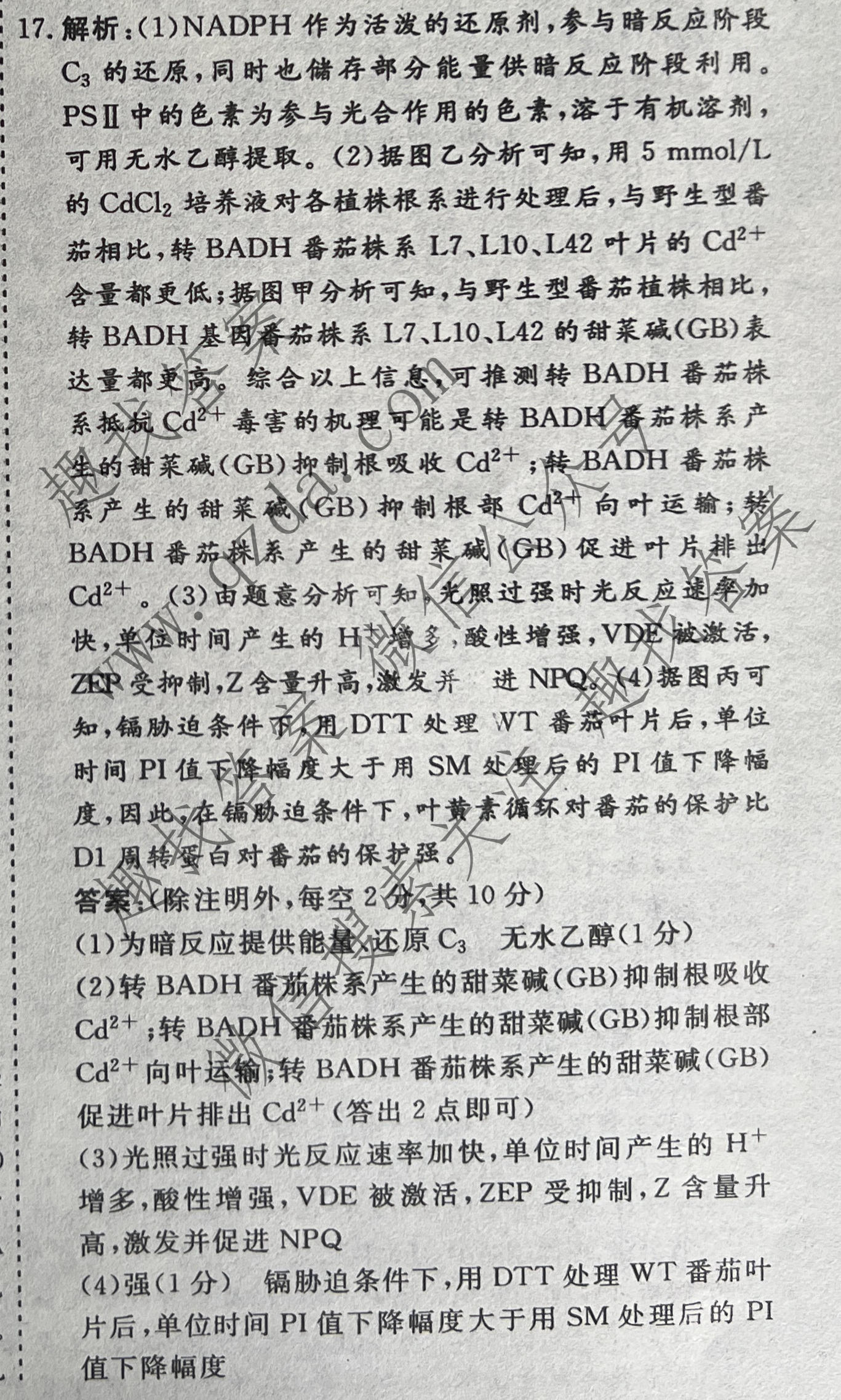名校之约系列 2025届高三新高考考前冲刺押题卷(一)1生物答案