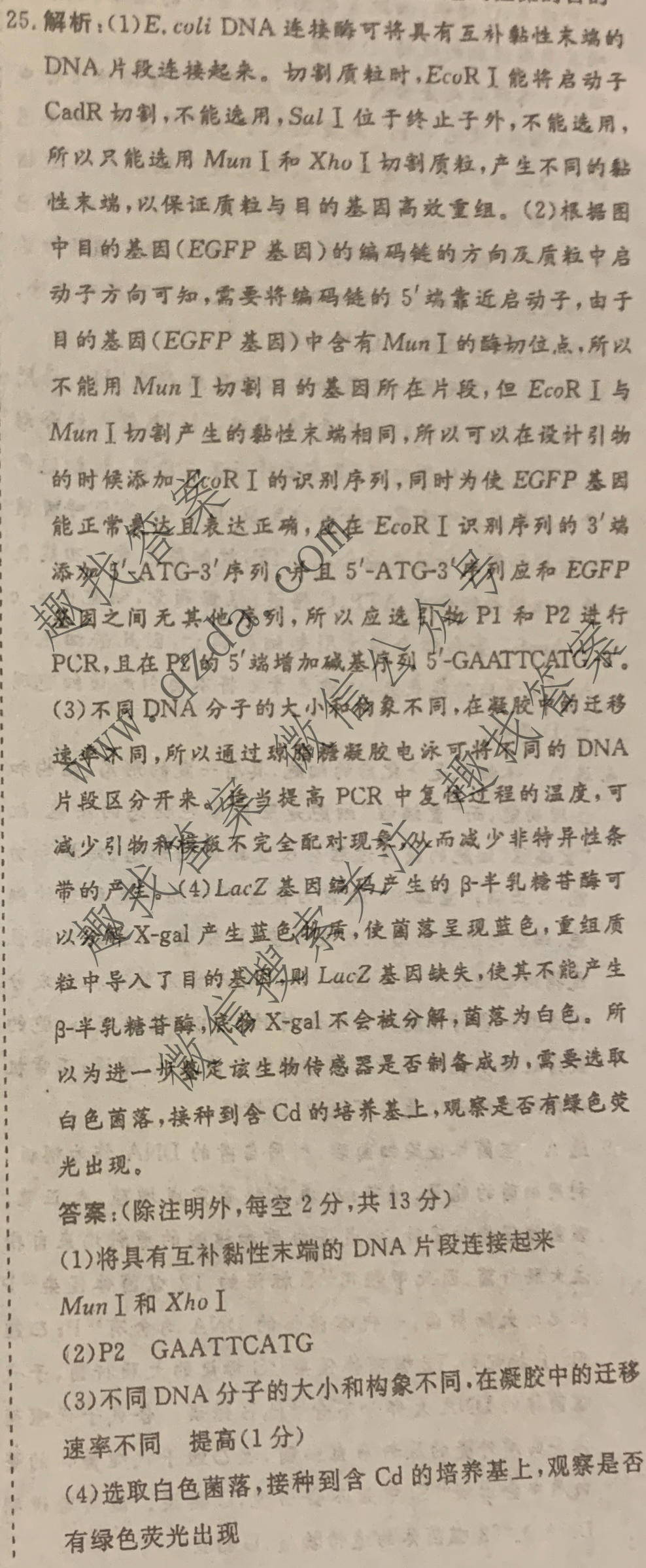 名校之约系列 2025届高三新高考考前冲刺押题卷(六)6生物SHJL答案
