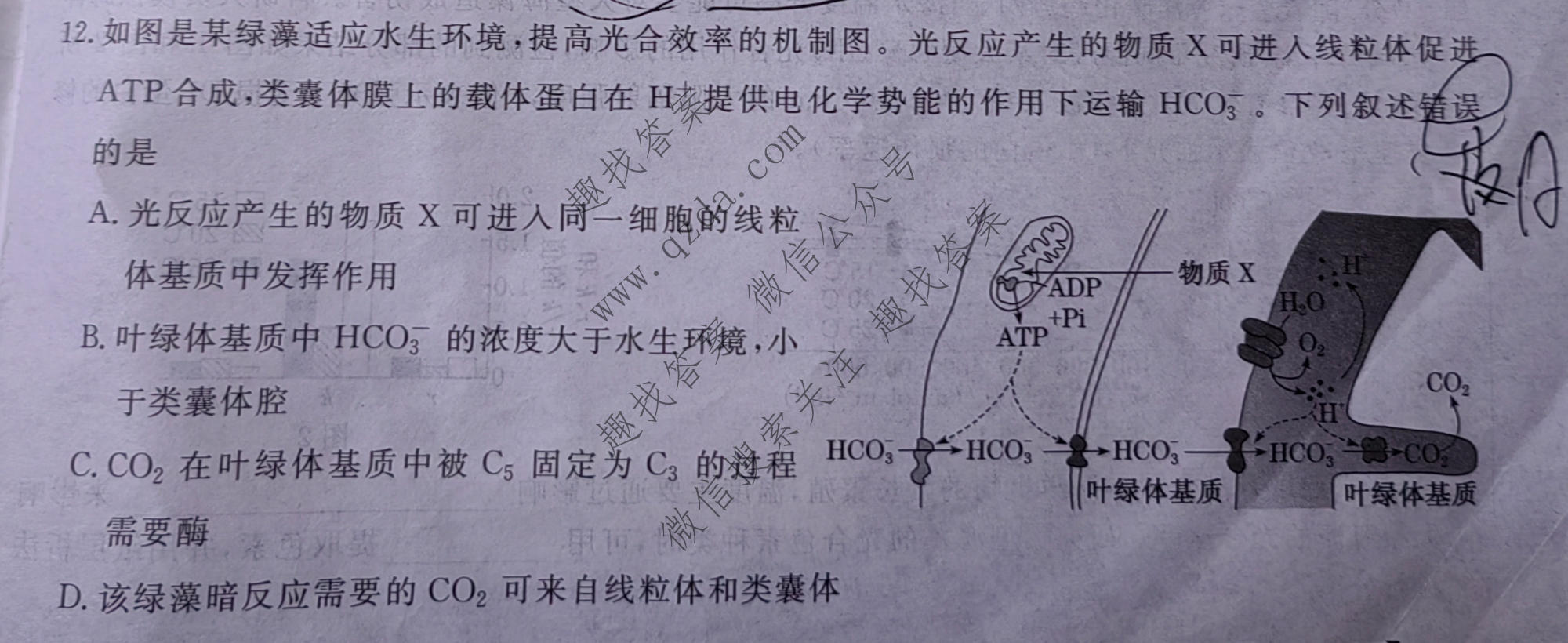 名校之约系列 2025届高三高考精准备考猜题卷(一)1生物CASH试题