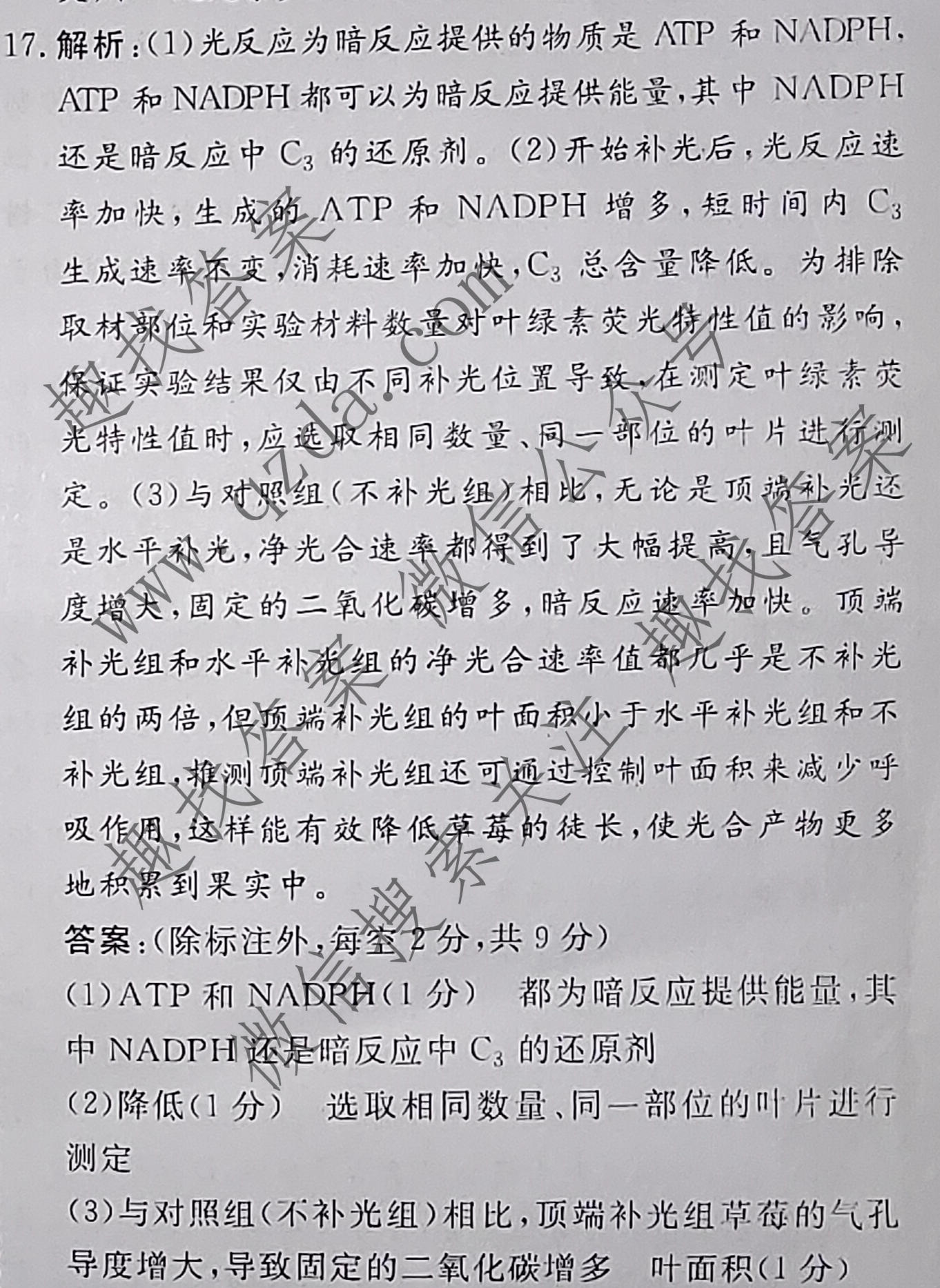 名校之约系列 2025届高三高考精准备考猜题卷(二)2生物答案