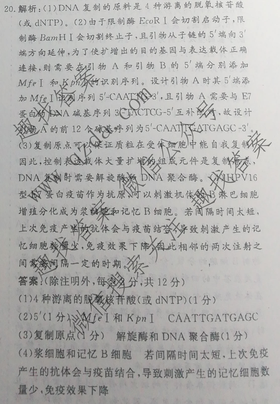 名校之约系列 2025届高三新高考考前冲刺押题卷(一)1生物CASH答案