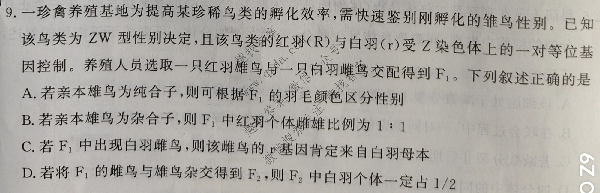 鼎尖教育 2025年5月阶段性检测·高一生物A卷试题