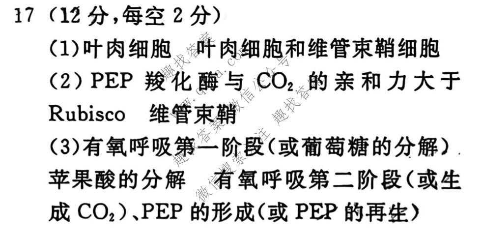 衡水名师卷 2026年普通高中学业水平选择性考试模拟试题·高考模拟调研卷 生物※(四)4答案