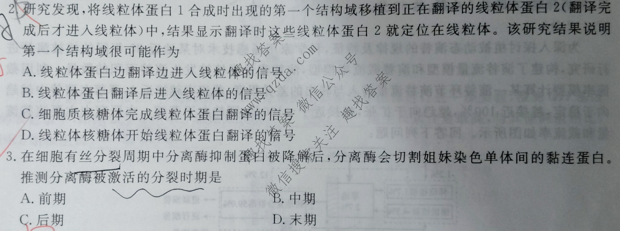 衡水金卷 2026年学科素养评价练习(一)1生物(W)试题