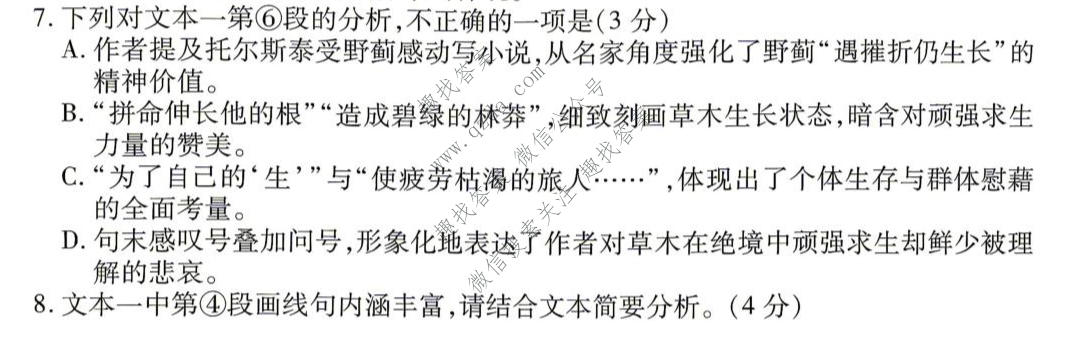衡水金卷 2026年学科素养评价练习(三)3语文试题