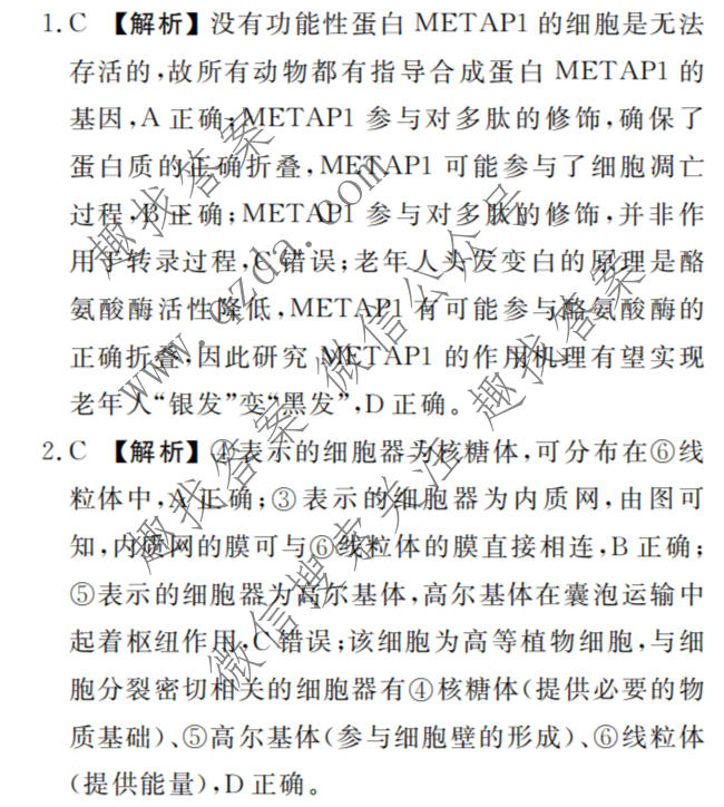 衡水金卷 2026年学科素养评价练习(五)5生物(AH)答案