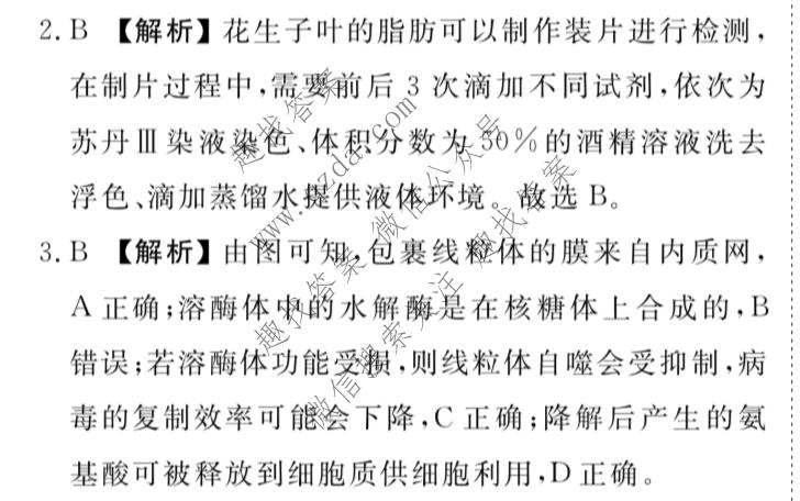 衡水金卷 2026年学科素养评价练习(三)3生物(Y)答案