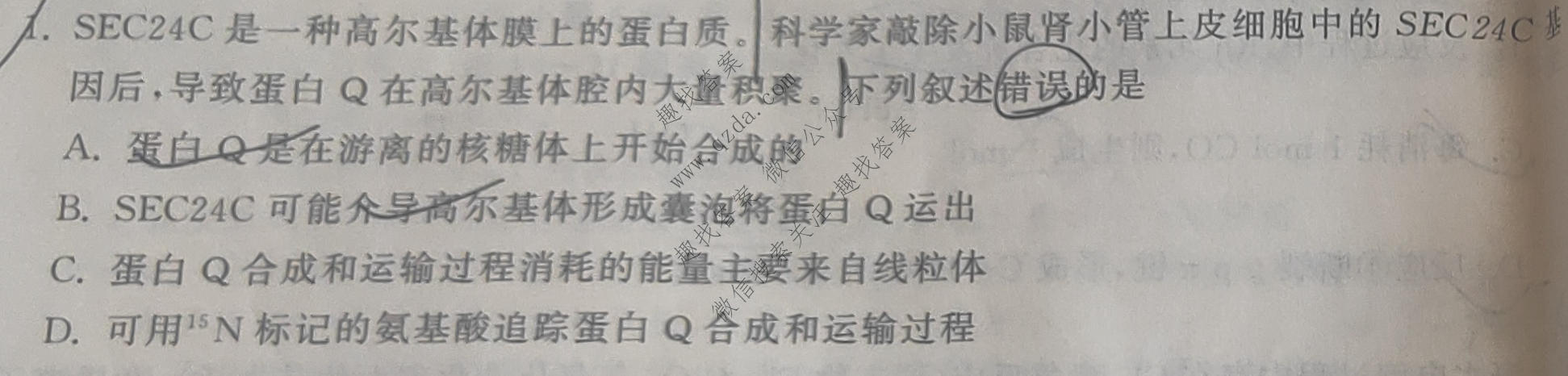 衡中同卷·天舟益考 2026年普通高等学校招生全国统一考试模拟信息卷(一)1理科综合(新疆版)试题