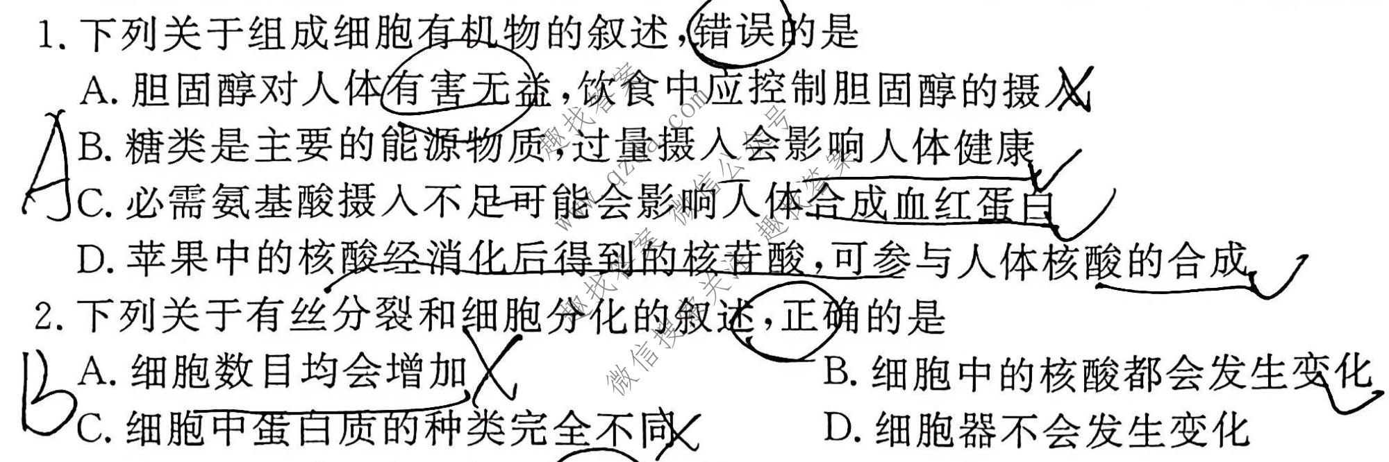 衡水金卷 2026年学科素养评价练习(一)1生物(山东专版)试题