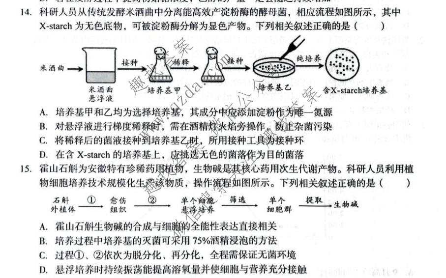 1号卷 A10联盟2024级高二4月期中质量检测生物A试题