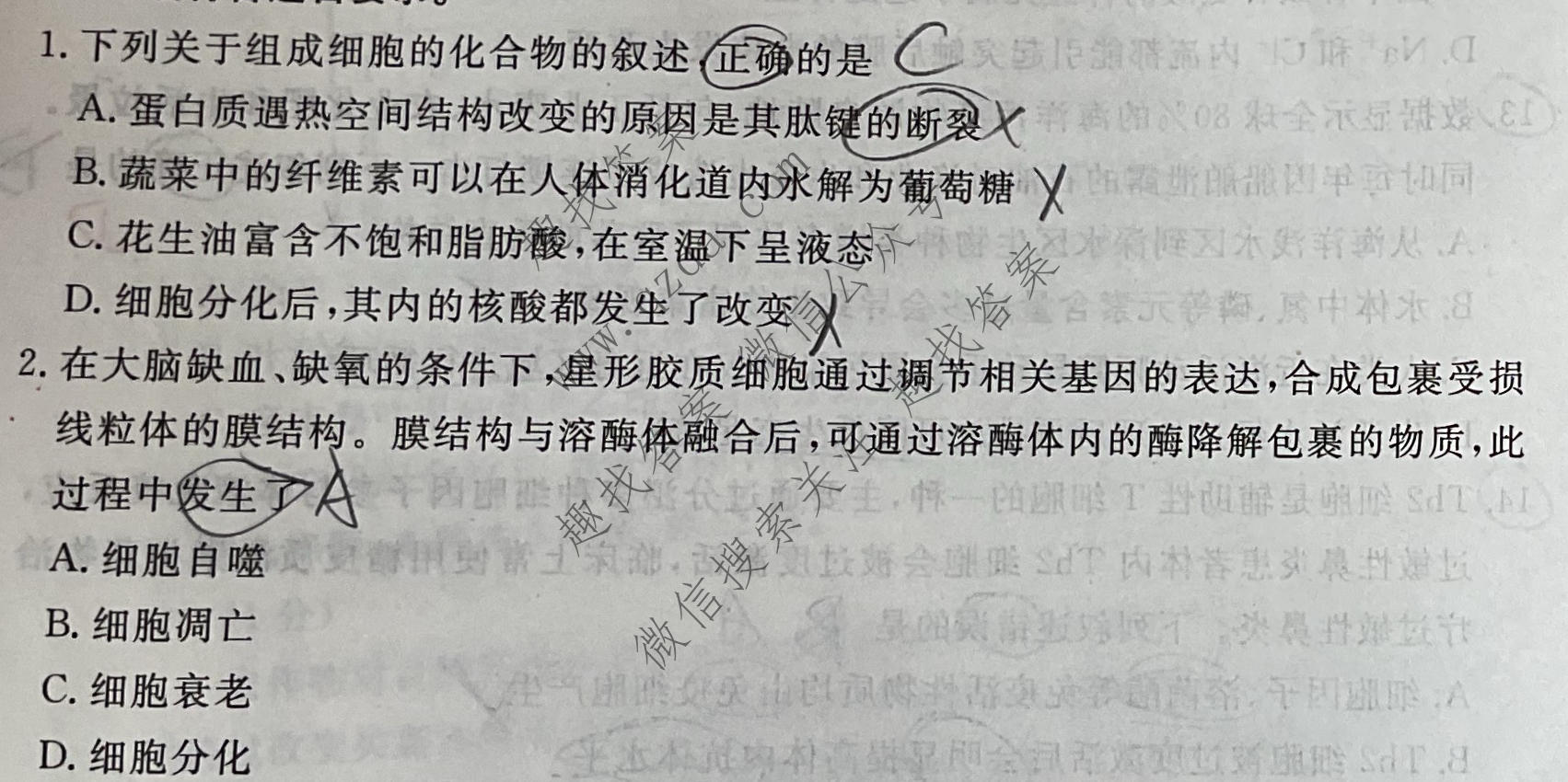 衡水金卷 2026年学科素养评价练习(四)4生物(Y)试题