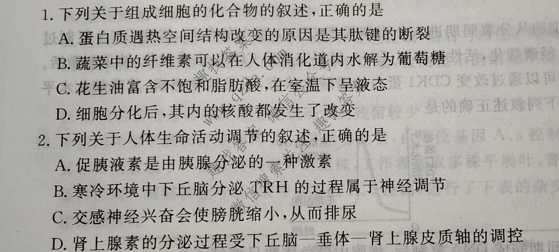 衡水金卷 2026年学科素养评价练习(四)4化学(S)试题