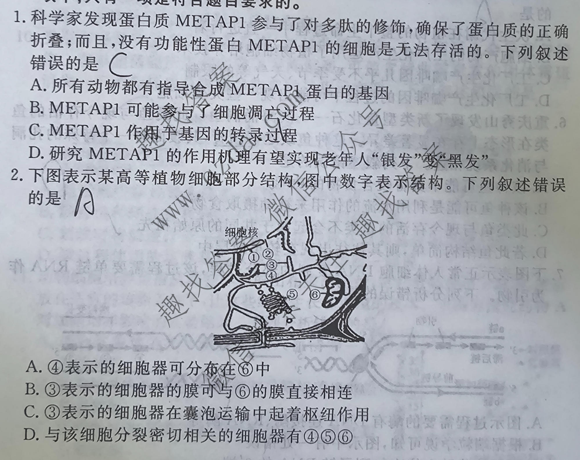 衡水金卷 2026年学科素养评价练习(五)5生物(HN)试题