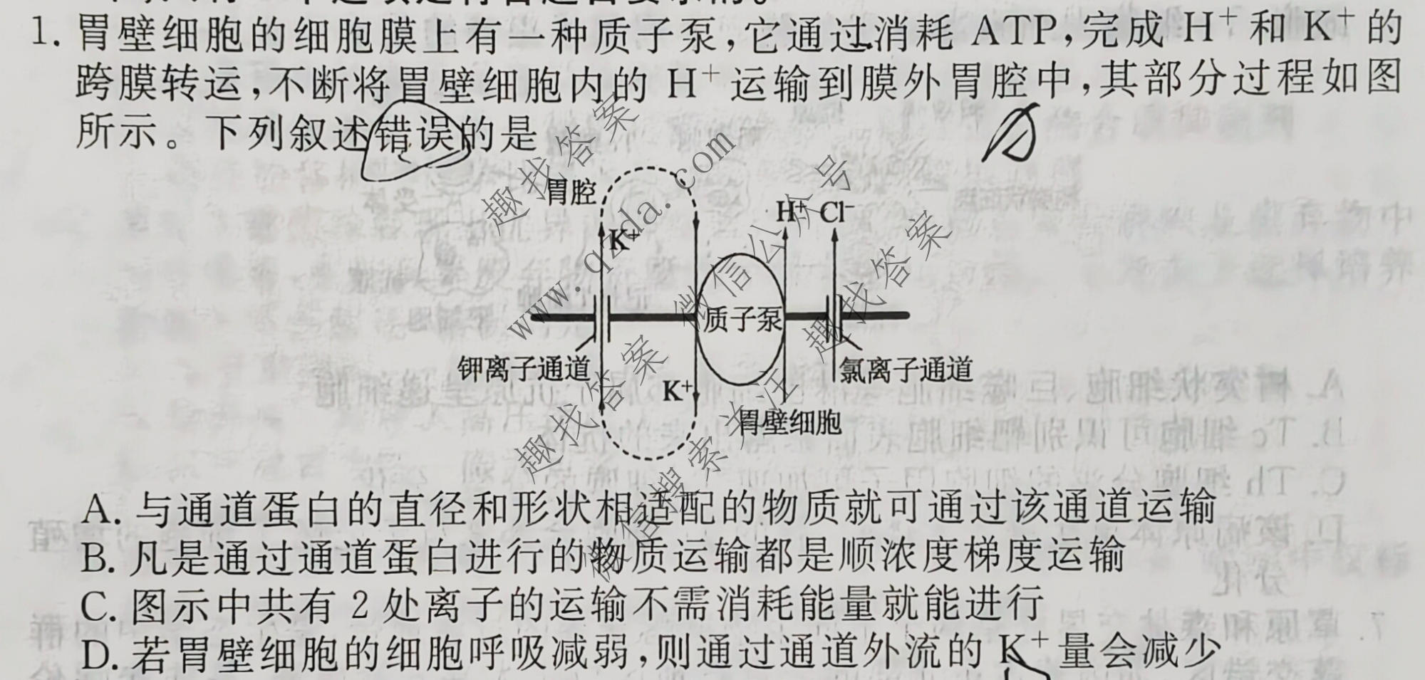 衡水金卷先享题 2026年高考压轴冲刺(二)2生物(Y)试题