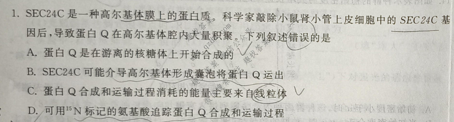 衡中同卷·天舟益考 2026年普通高中学业水平选择性考试模拟信息卷(一)1·生物(JY)试题
