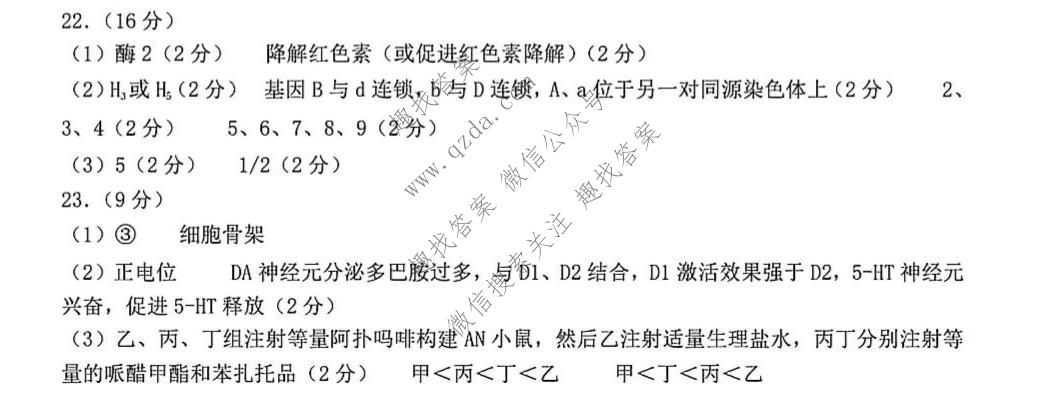山东省烟台市2026年高考诊断性测试(2026.5)生物答案