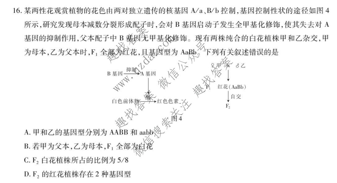 上进联考 广东省2025-2026学年高三5月高考大练兵生物试题