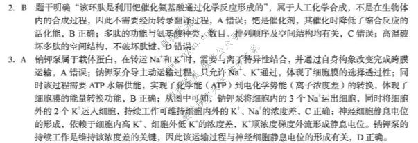 1号卷 A10联盟2026届高三5月最后一卷生物答案