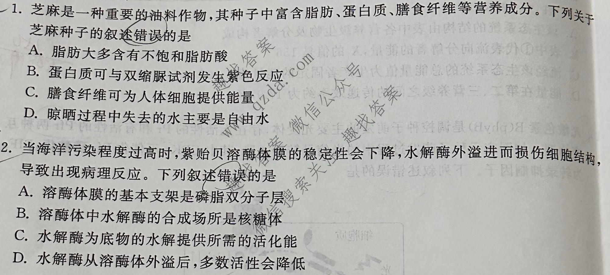 衡中同卷·天舟益考 2026年普通高中学业水平选择性考试模拟押题卷(一)1·生物(DS)试题