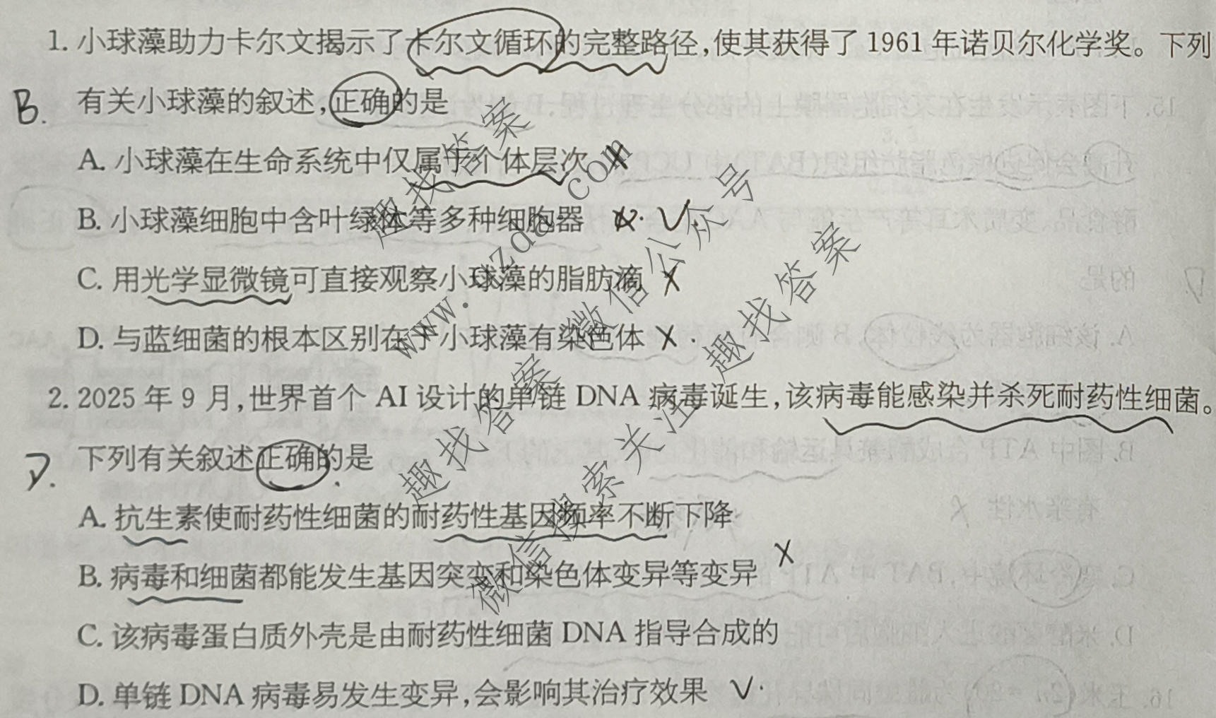 2026年普通高校招生统一考试核心突破决战高考(一)1生物SQJN试题