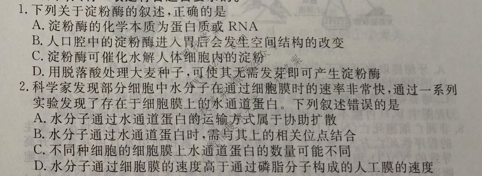 衡水金卷先享题 2026年高考压轴冲刺(一)1生物(Y)试题