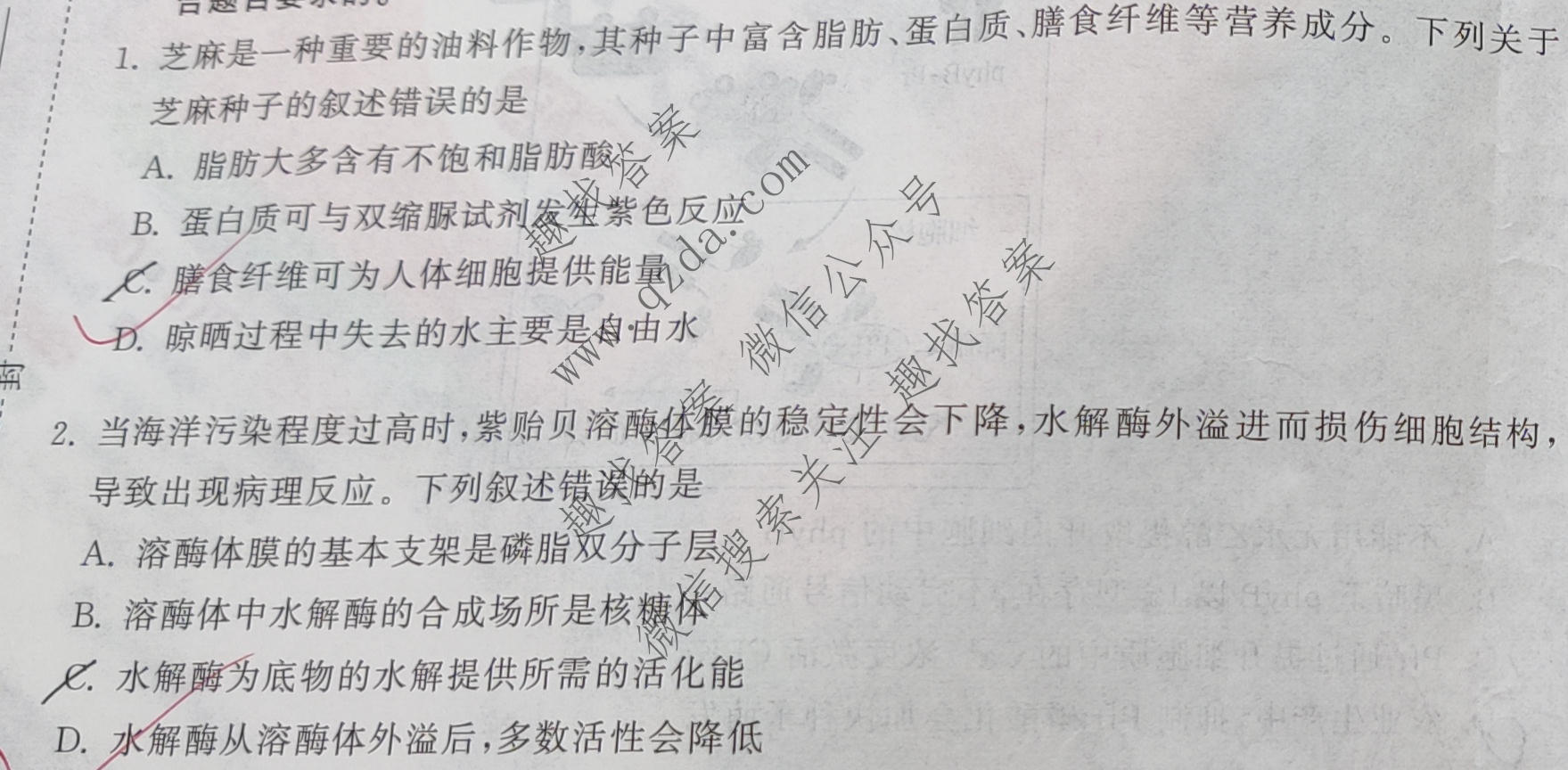 衡中同卷·天舟益考 2026年普通高中学业水平选择性考试模拟押题卷(一)1·生物(HJ)试题