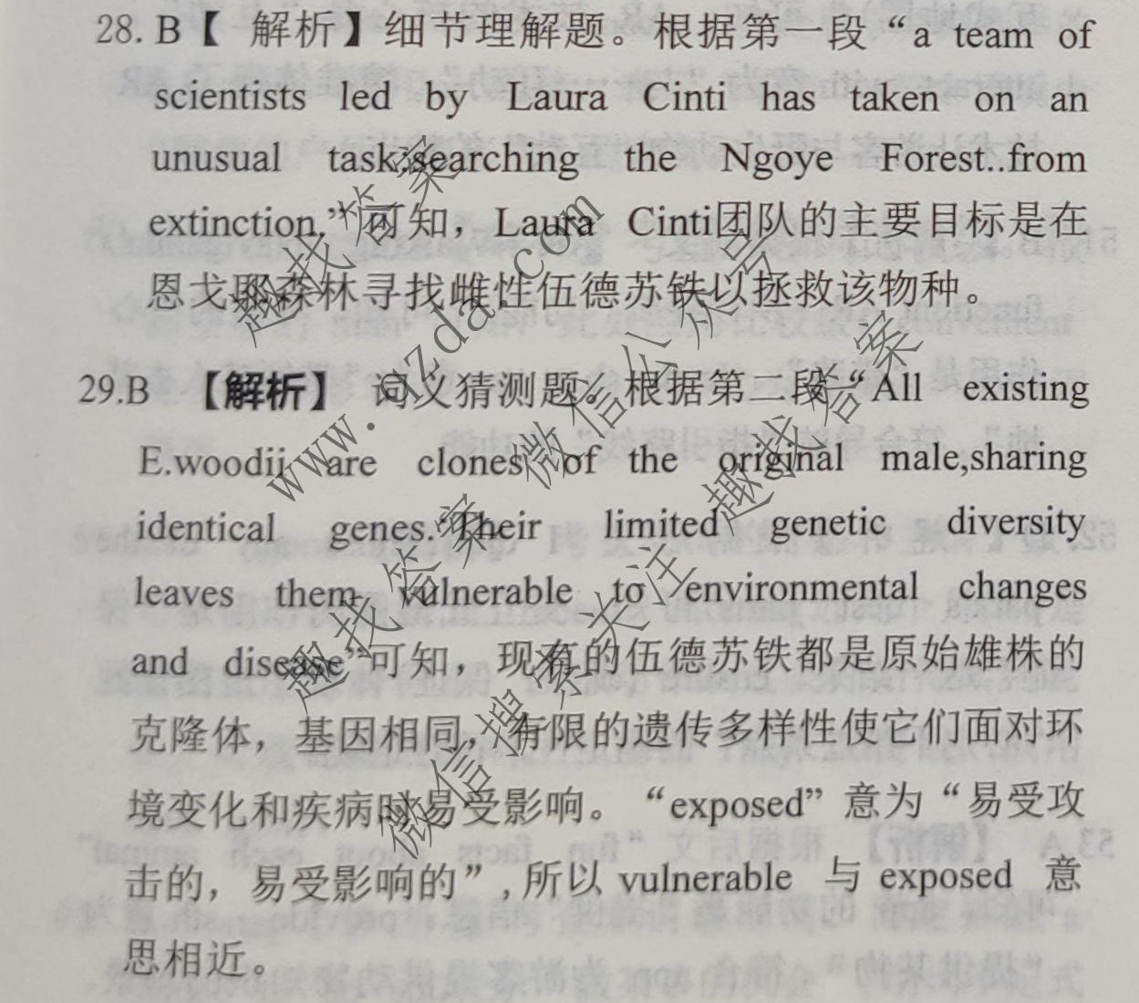 衡中同卷·天舟益考 2026年普通高等学校招生全国统一考试模拟押题卷(三)3·英语B答案