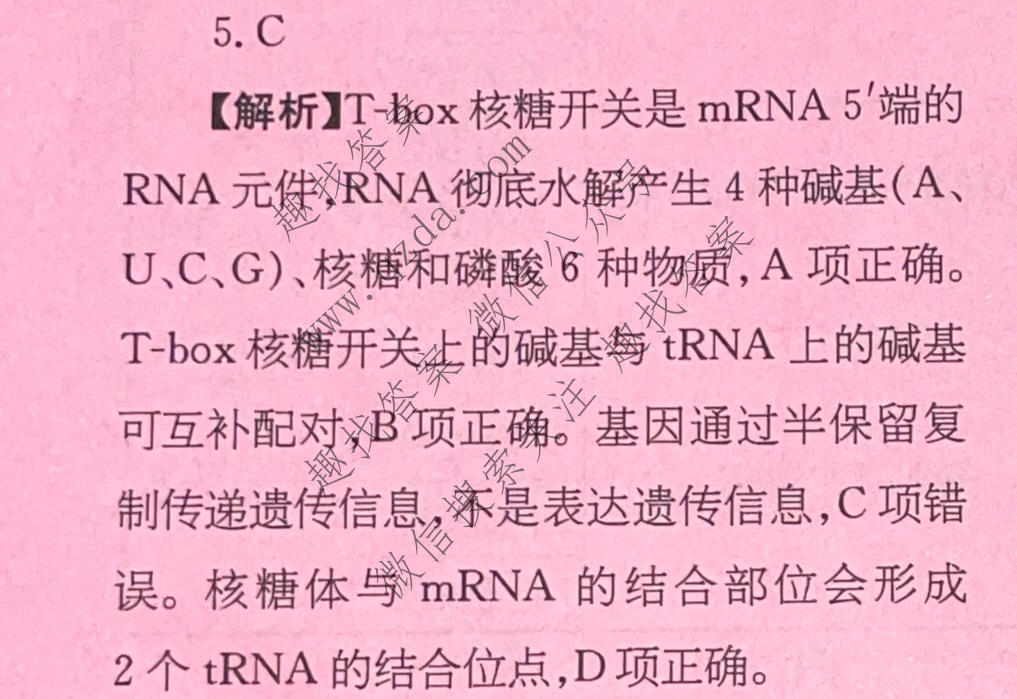 2026年普通高校招生统一考试核心突破决战高考(三)3生物YN答案