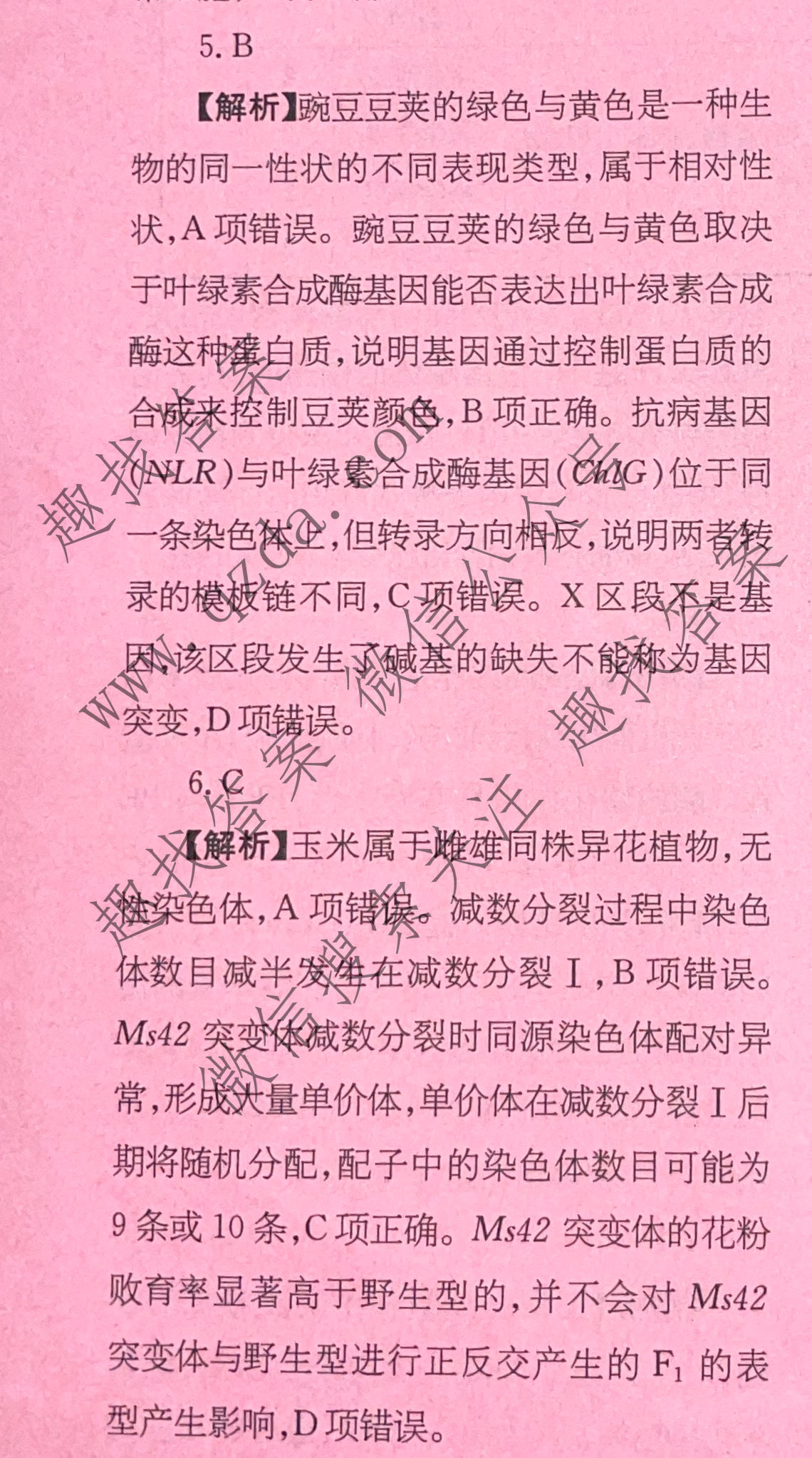 2026年普通高校招生统一考试核心突破决战高考(一)1生物YN答案