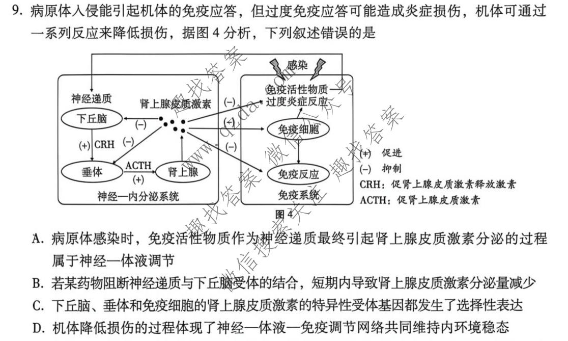 2026届云南3+3+3西南名校联考高三下学期5月联考(黑黑白白黑黑黑黑)生物试题