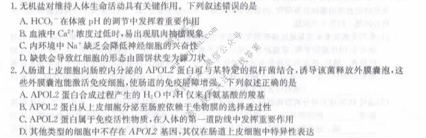 九师联盟 2026届5月高三联考(5/2)(角标含G)生物LY-G试题